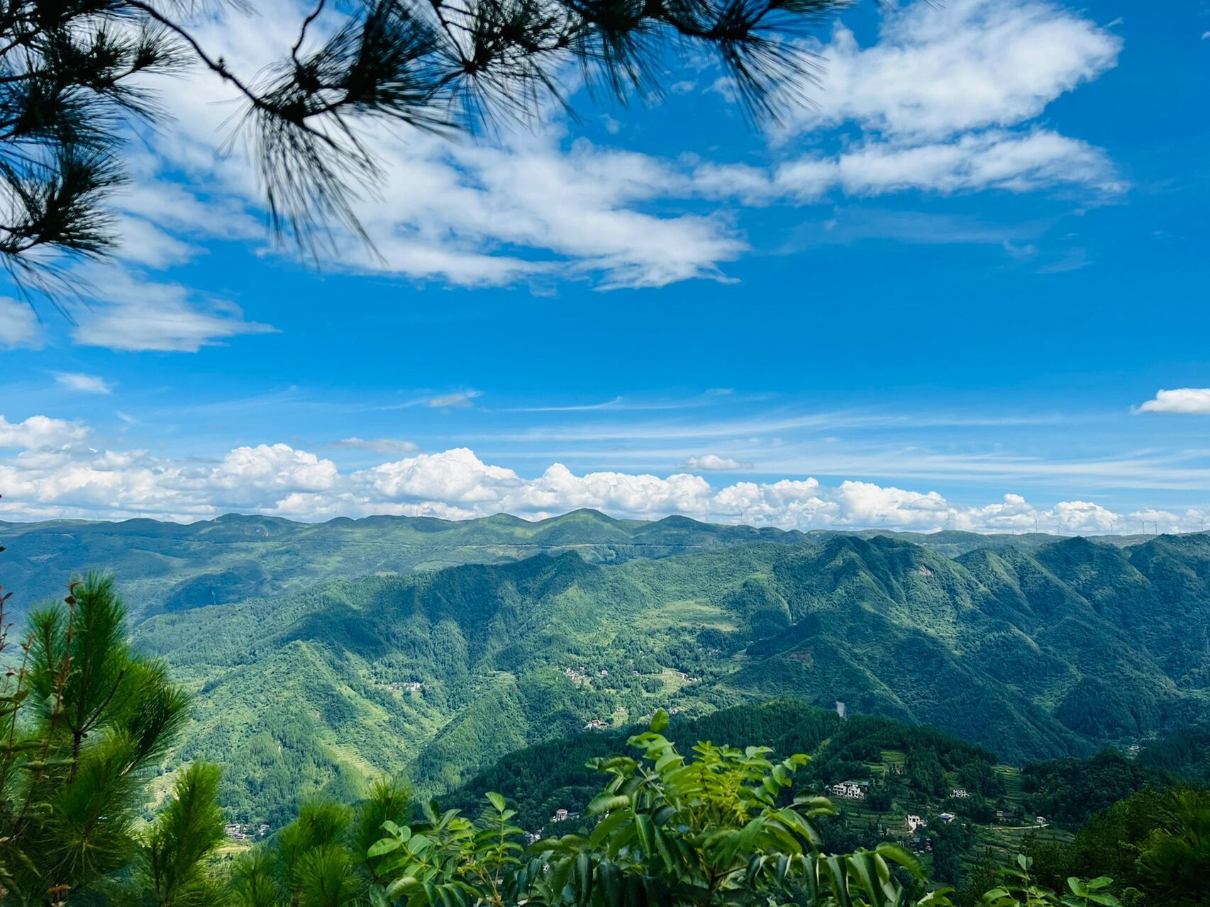 利川之苏马荡十里长廊 在苏马荡避暑了几天,在最后一天要离开了,才有
