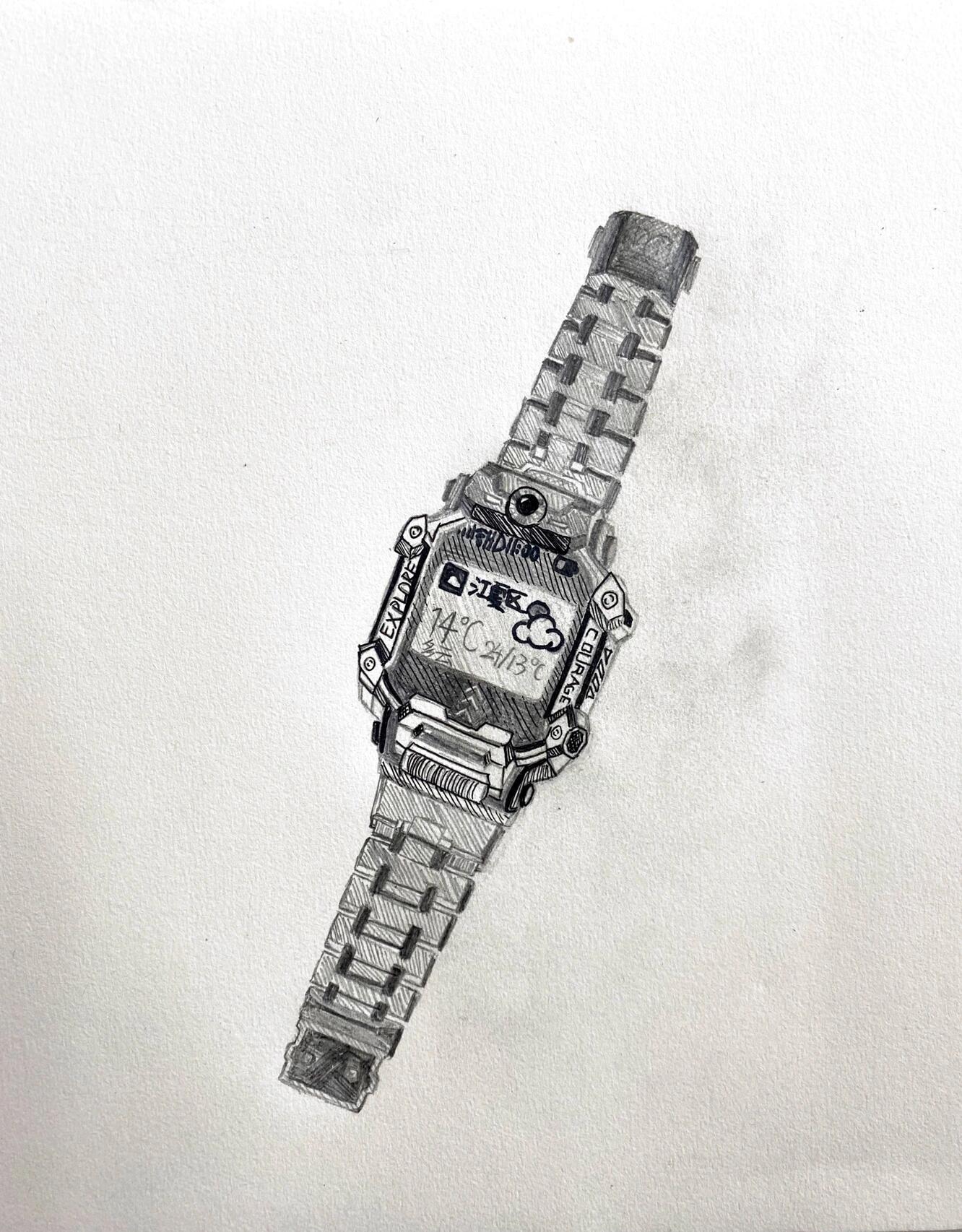 人美版美术五年级下册《精细的描写》学生作品