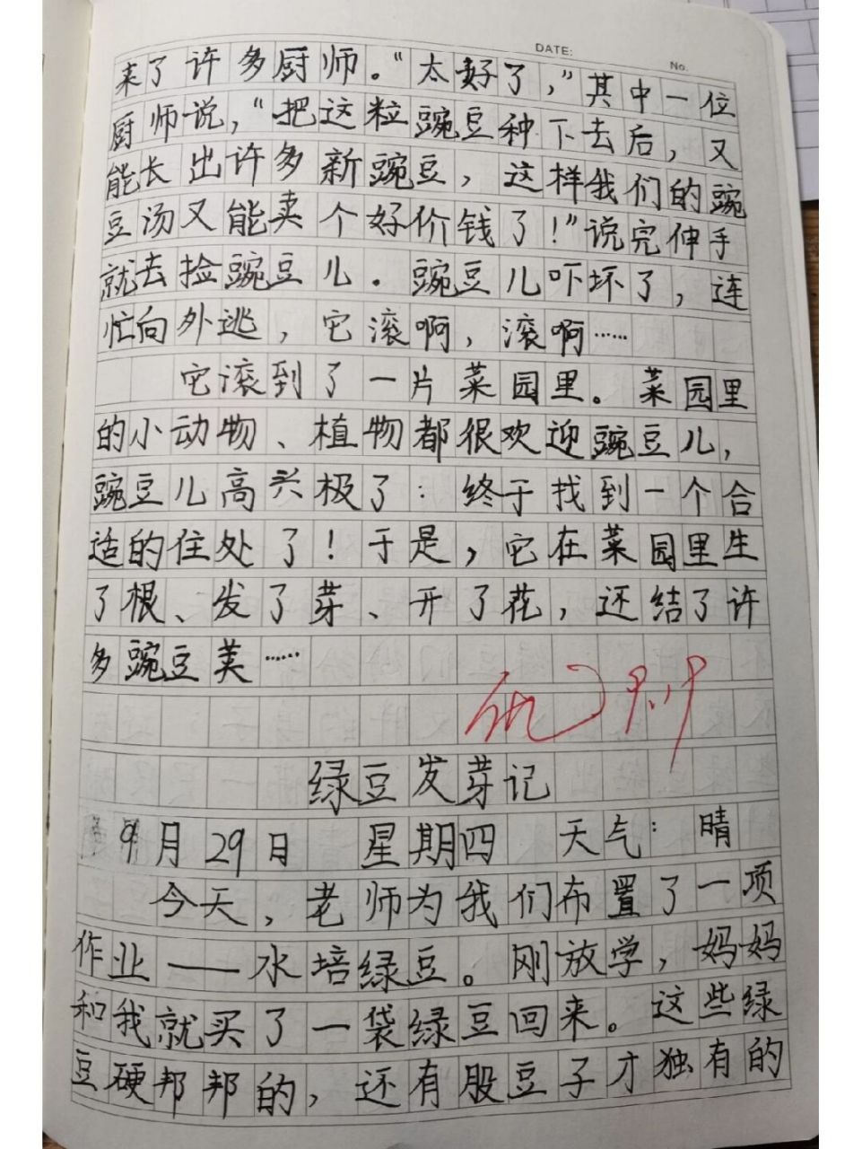 四上《绿豆观察日记》优秀范文 #四年级作文# #小学作文# #作文素材