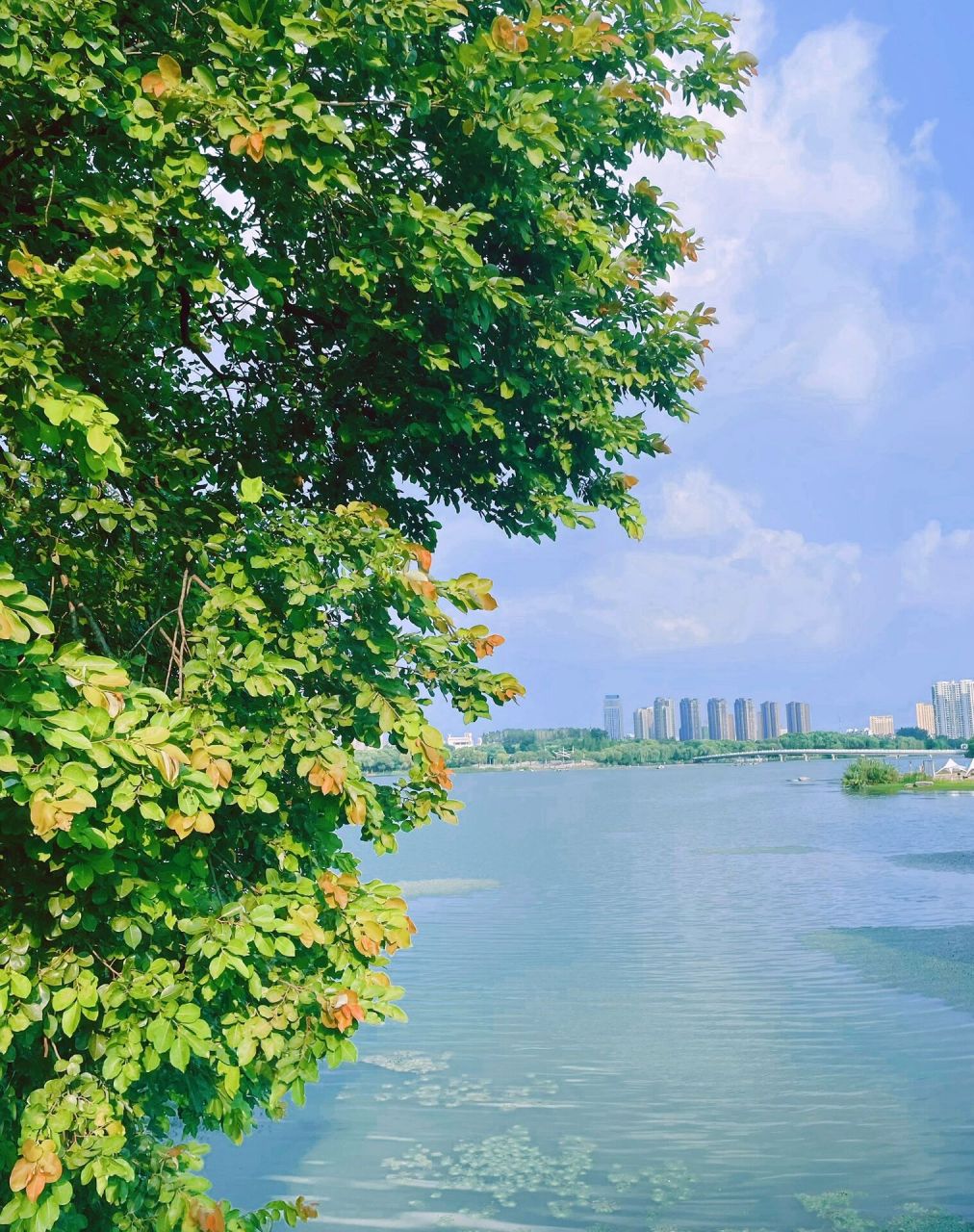 合肥免费沙滩|人少景美玩沙就去这 9315导航:翡翠湖迎宾馆,开车从