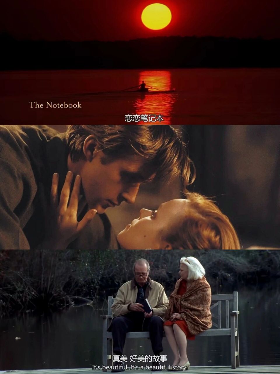 电影《恋恋笔记本》你是我坚定不移的选择 7815 剧情简介:一位老