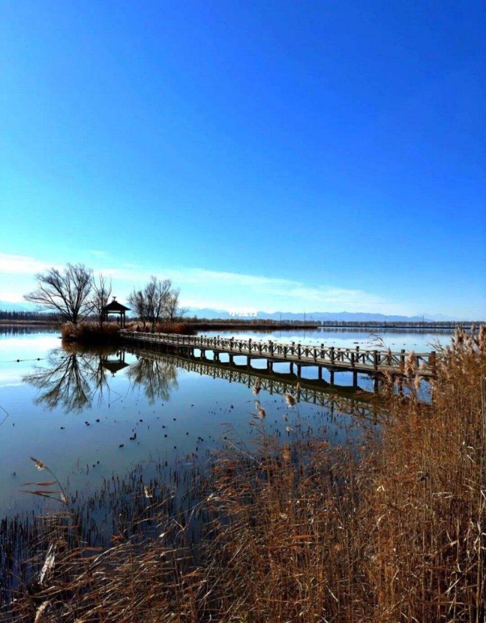 96景区介绍 野鸭湖位于北京市延庆区,是一个集湿地保护,生态观光