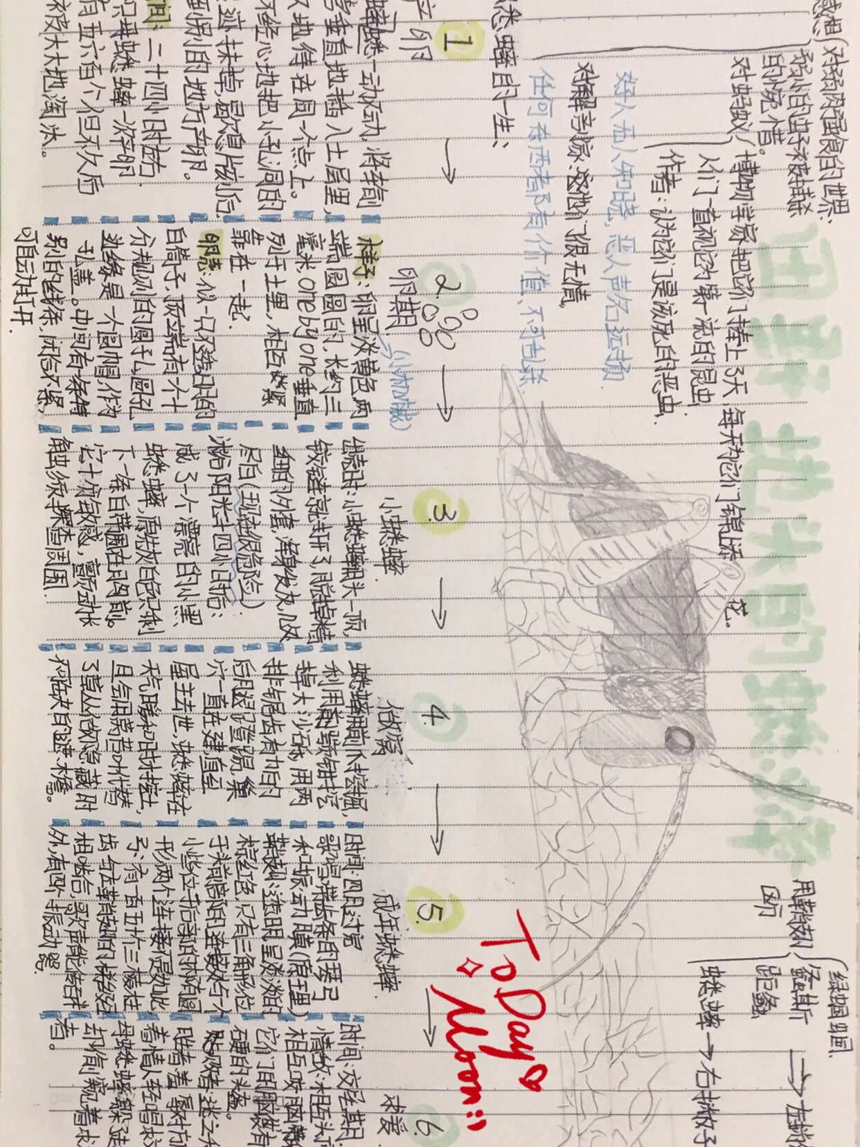 时代广场的蟋蟀思维导图(ai一键生成思维导图免费)