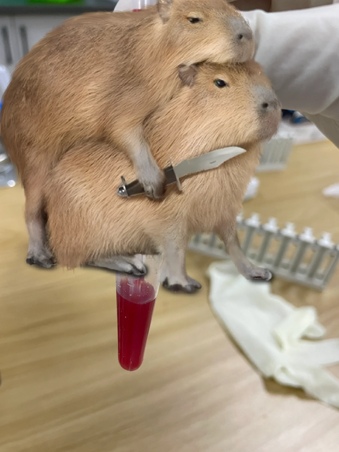 检验记录95:肉眼血尿(急性尿道炎)