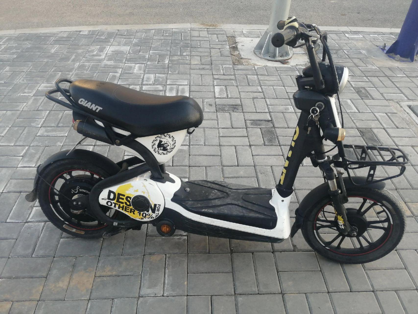 捷安特133骑不坏的电动车,这是正品,捷安特133,懂这款车的朋友联系