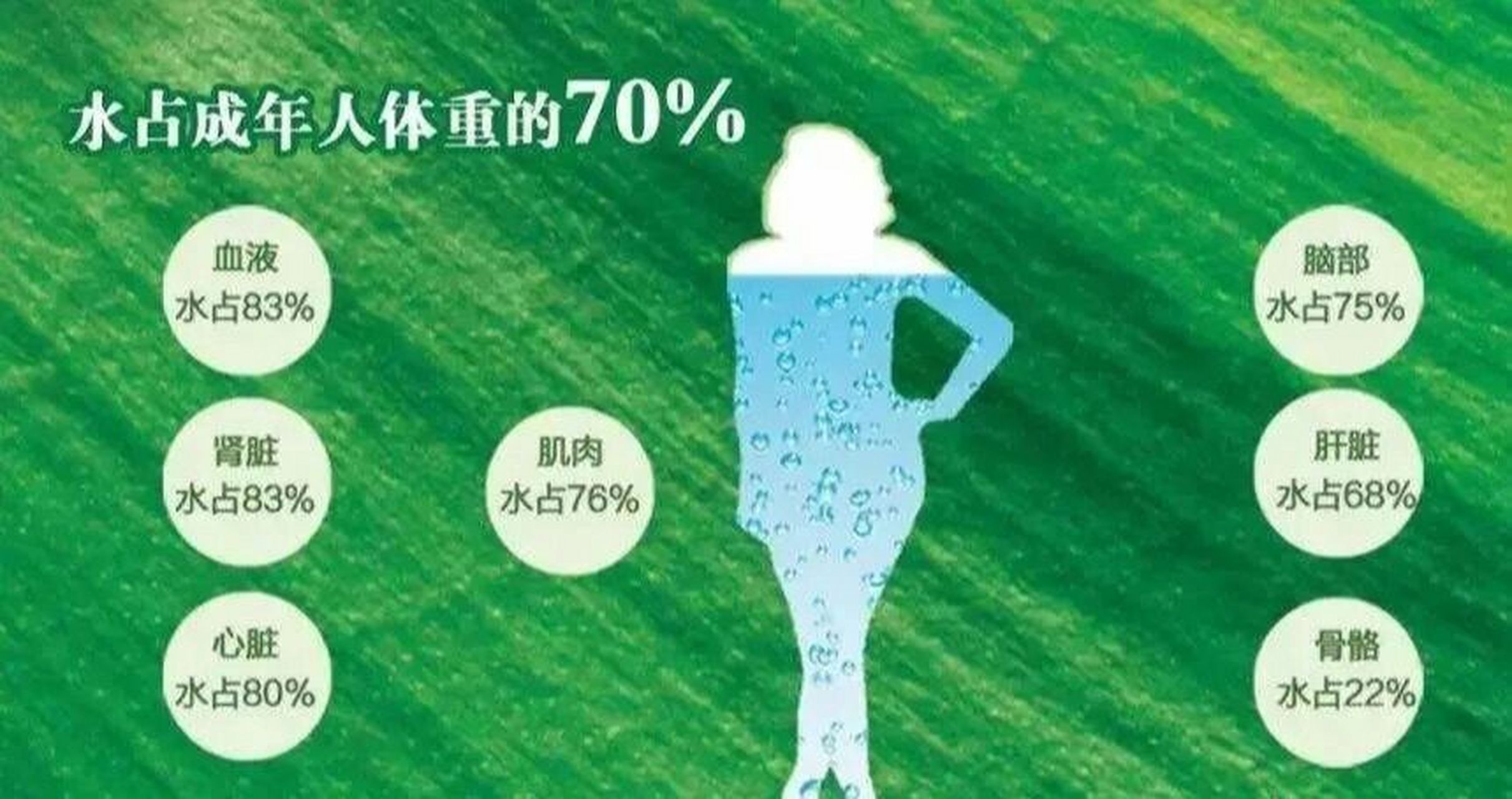现代医学认为,水是人体的重要组成部分,人体的含水量占身体总重量的