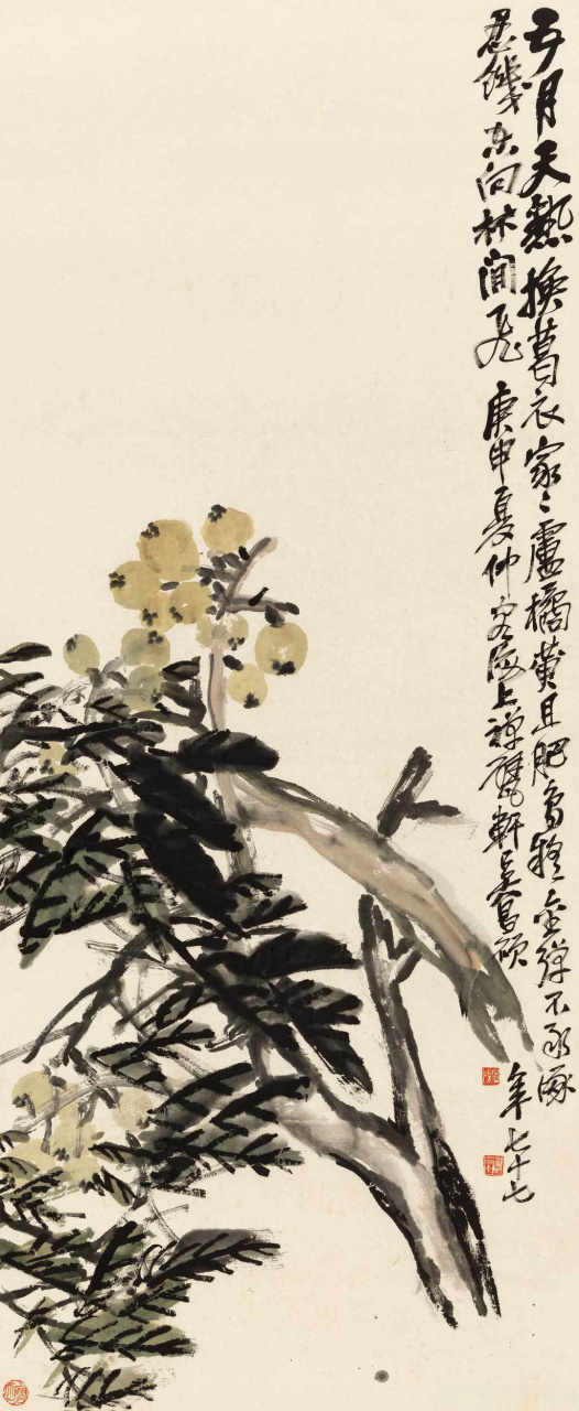 画家吴昌硕笔下的枇杷