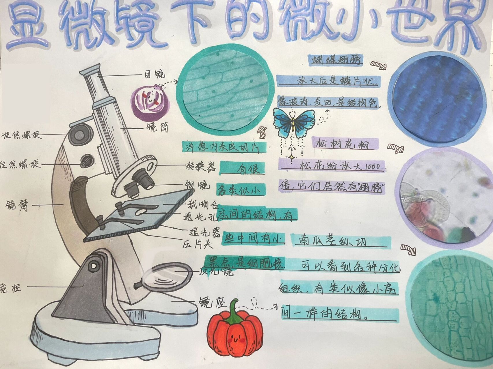 显微镜下的微小世界小报 这是我们的寒假作业,临摹评论区告诉我,可以