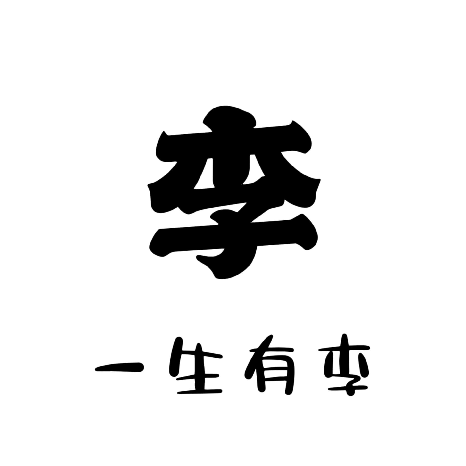 我姓李,姓李的集合,姓氏光影字头像