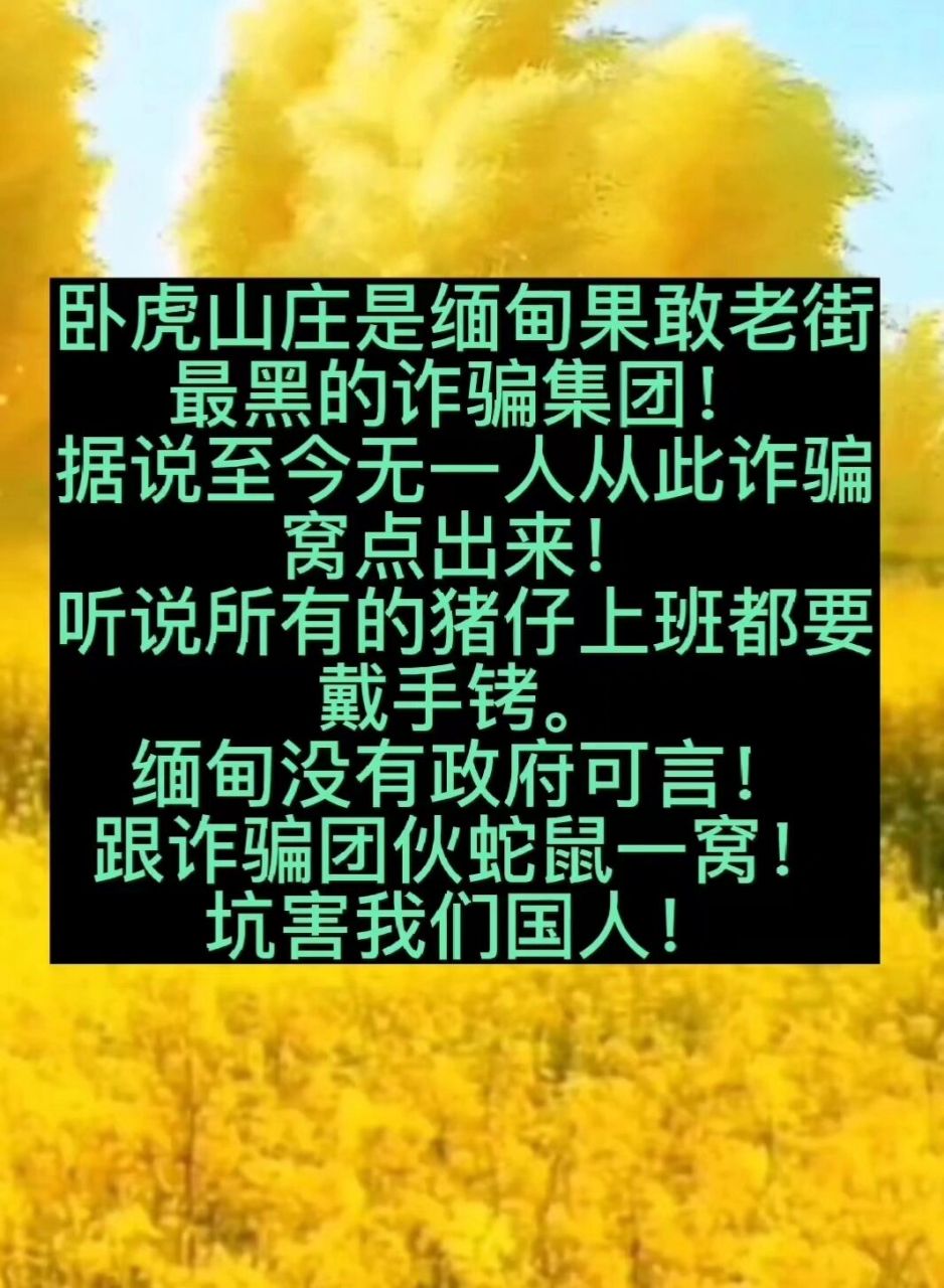 缅甸诈骗集团卧虎山庄曝光 地址:缅北果敢老街东城卧虎山庄后面,卧虎