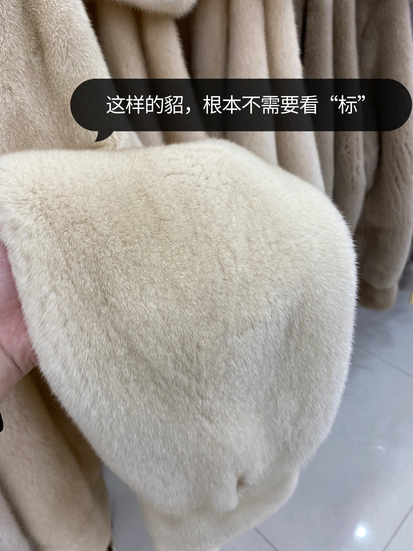 水貂紫标|哥本哈根紫标真假鉴别