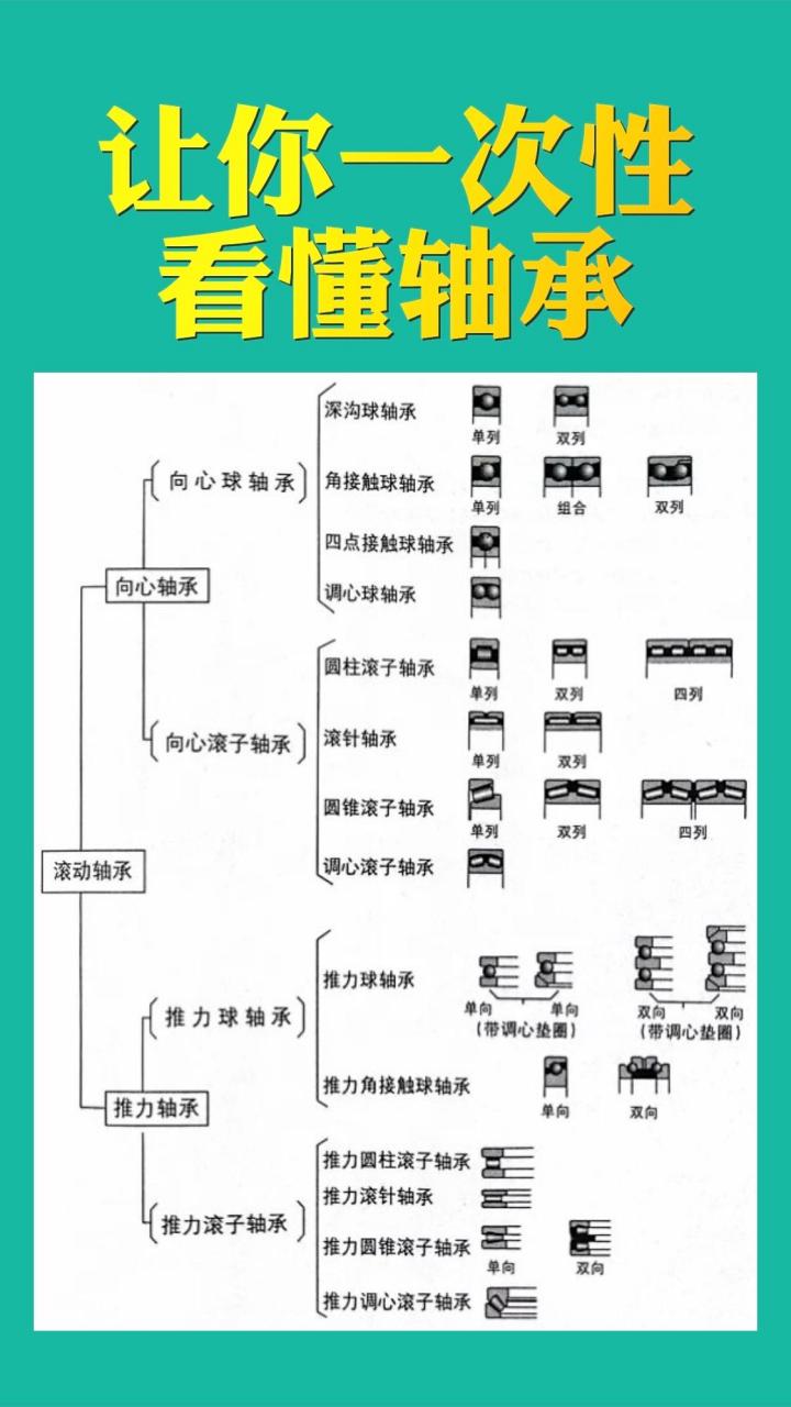 轴承种类大全图片