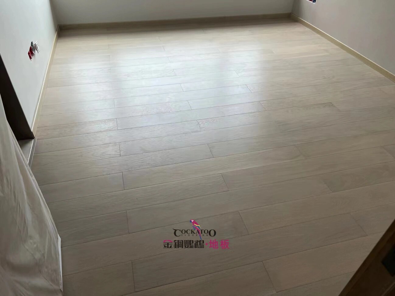 金钢鹦鹉地板