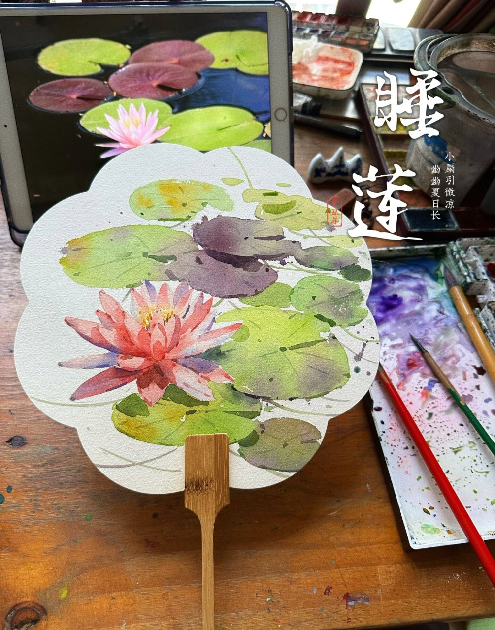 水彩花卉·手绘古风团扇 开启睡莲系列~ 小扇引微凉,幽幽夏日长~ 一