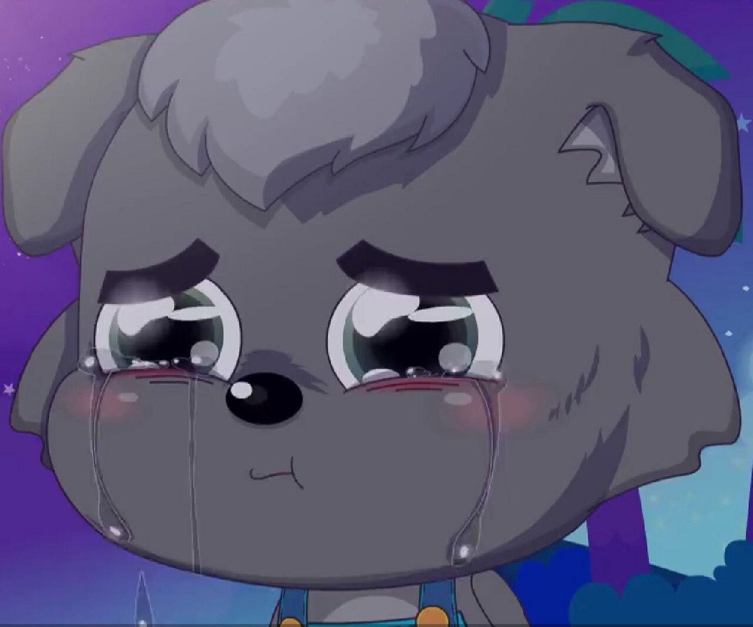 喜灰图片9498       最后两张是cp图,拿的时候说一声啊