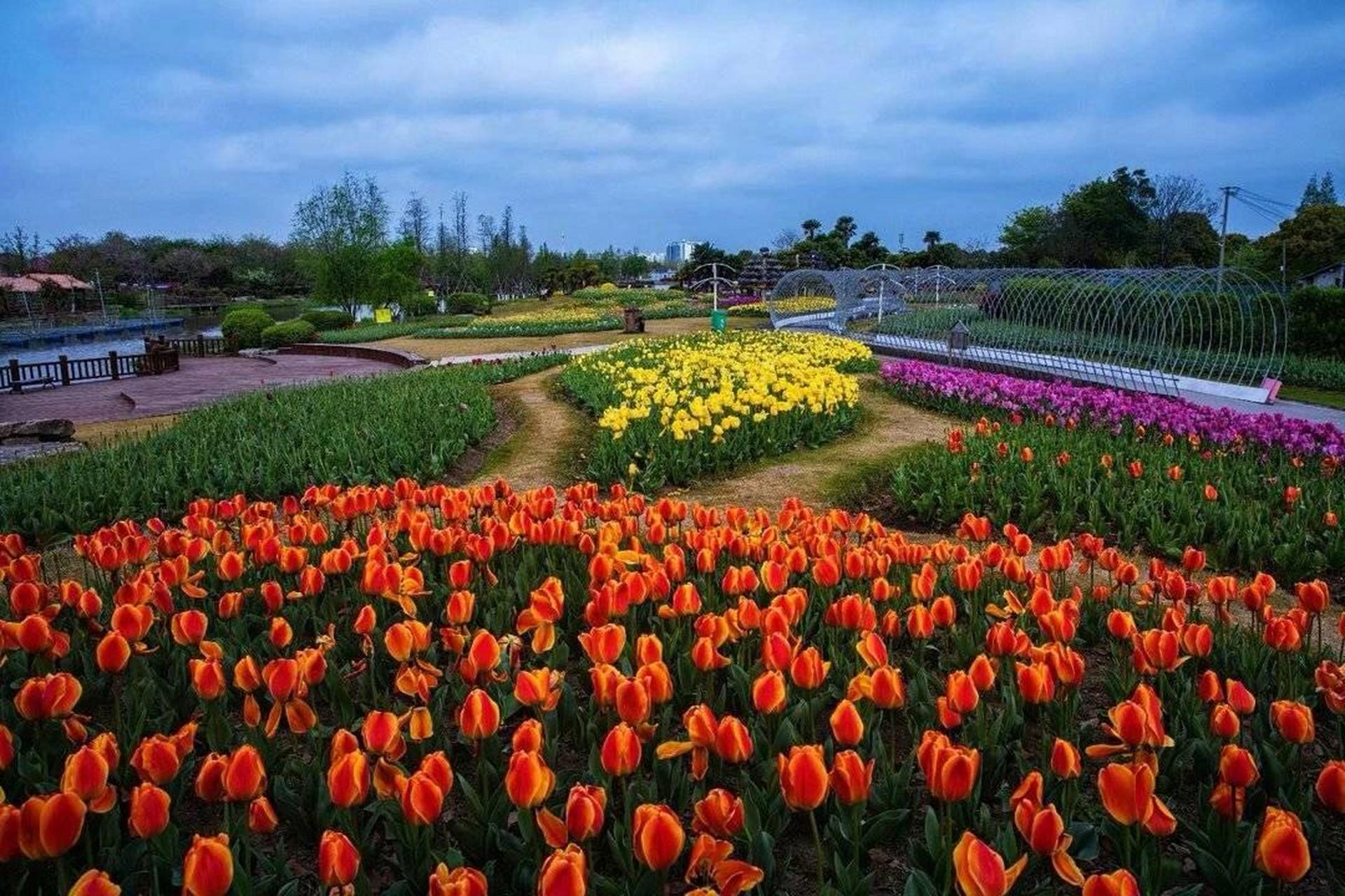 9元起抢「周浦花海」门票 	 93【春游必去】占地800余亩,赏花娱乐