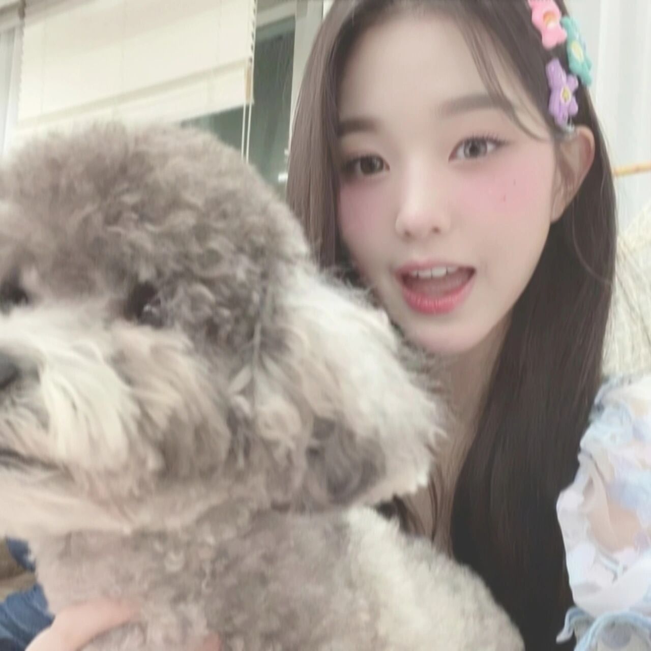 95|wonyoung张元英ins风头像 第一次修这样的图 希望大家喜欢