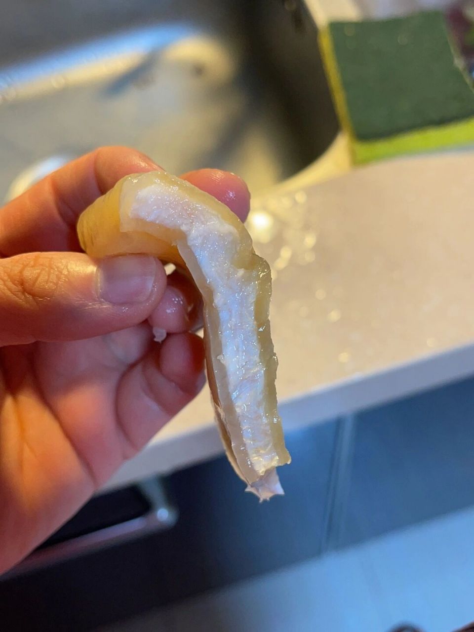 这个斗湖鱼胶,泡发了5天,感觉买到假的了
