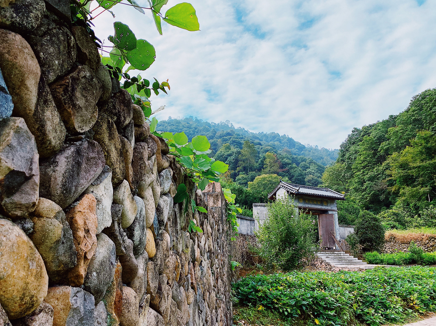 嵊州普安寺图片