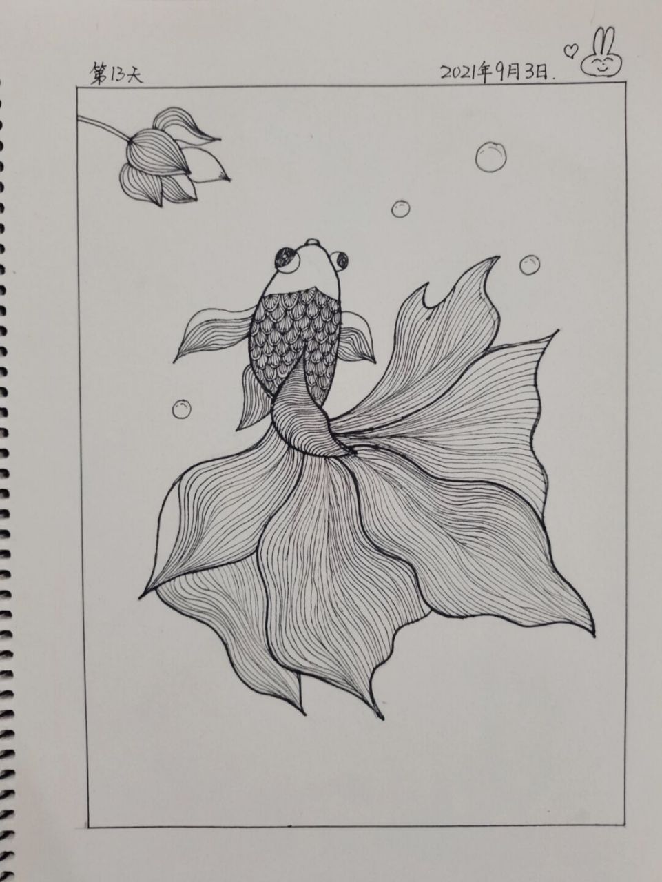 创意线描画/会跳舞的金鱼/day13 7715控笔练习第13天 	 7715
