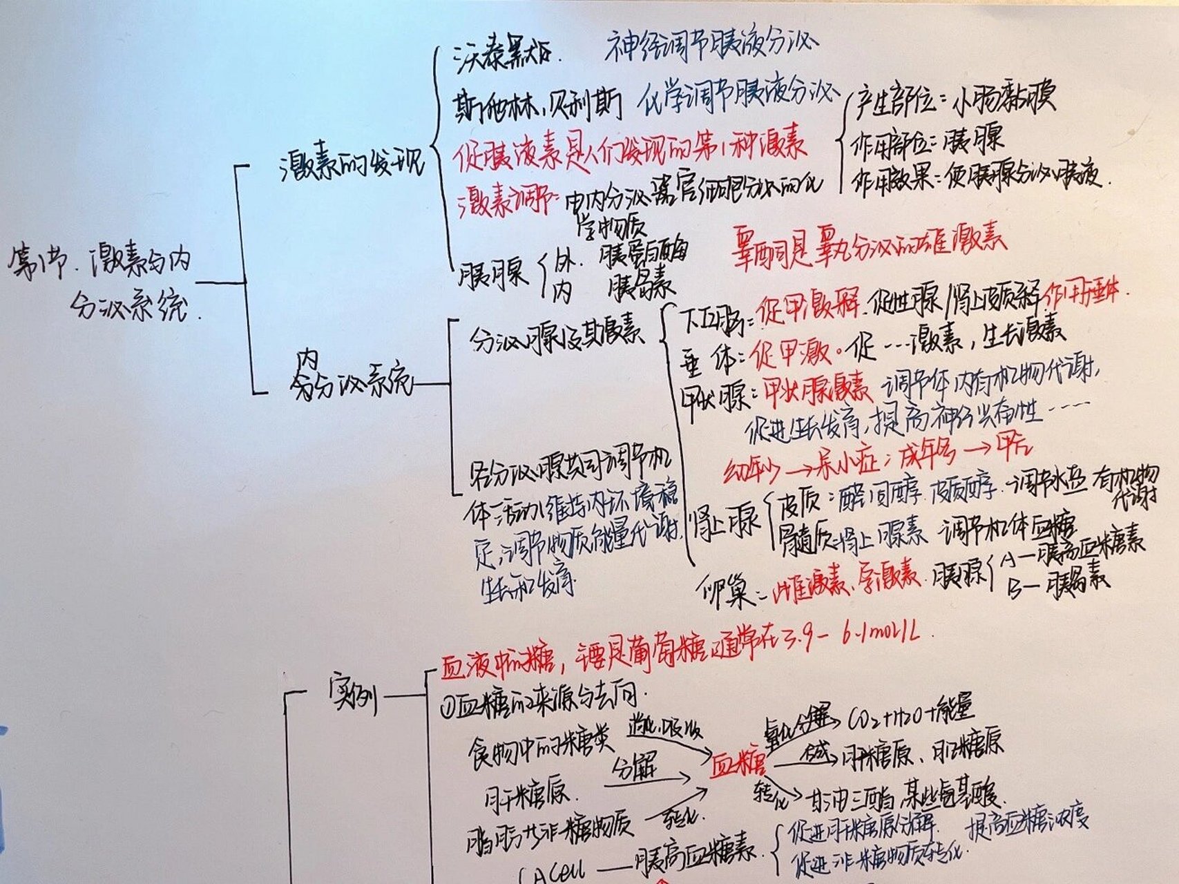 人体免疫系统思维导图图片