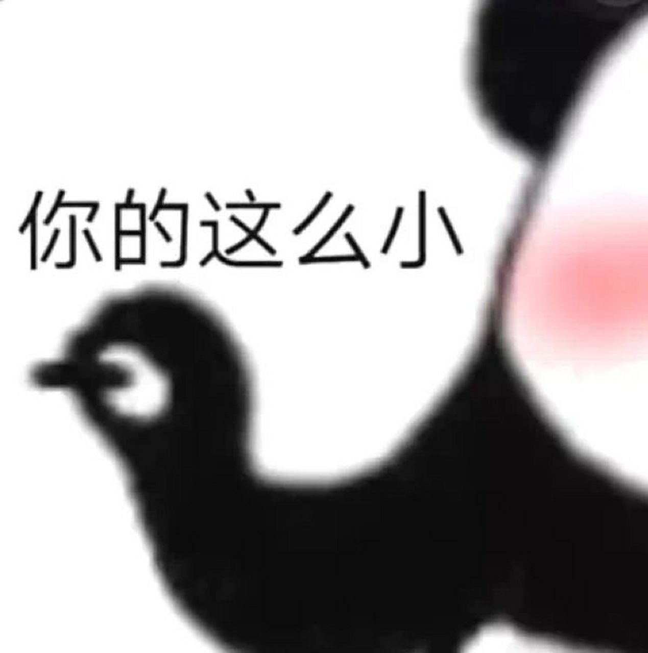表情包 | 你的这么小 熊猫表情包