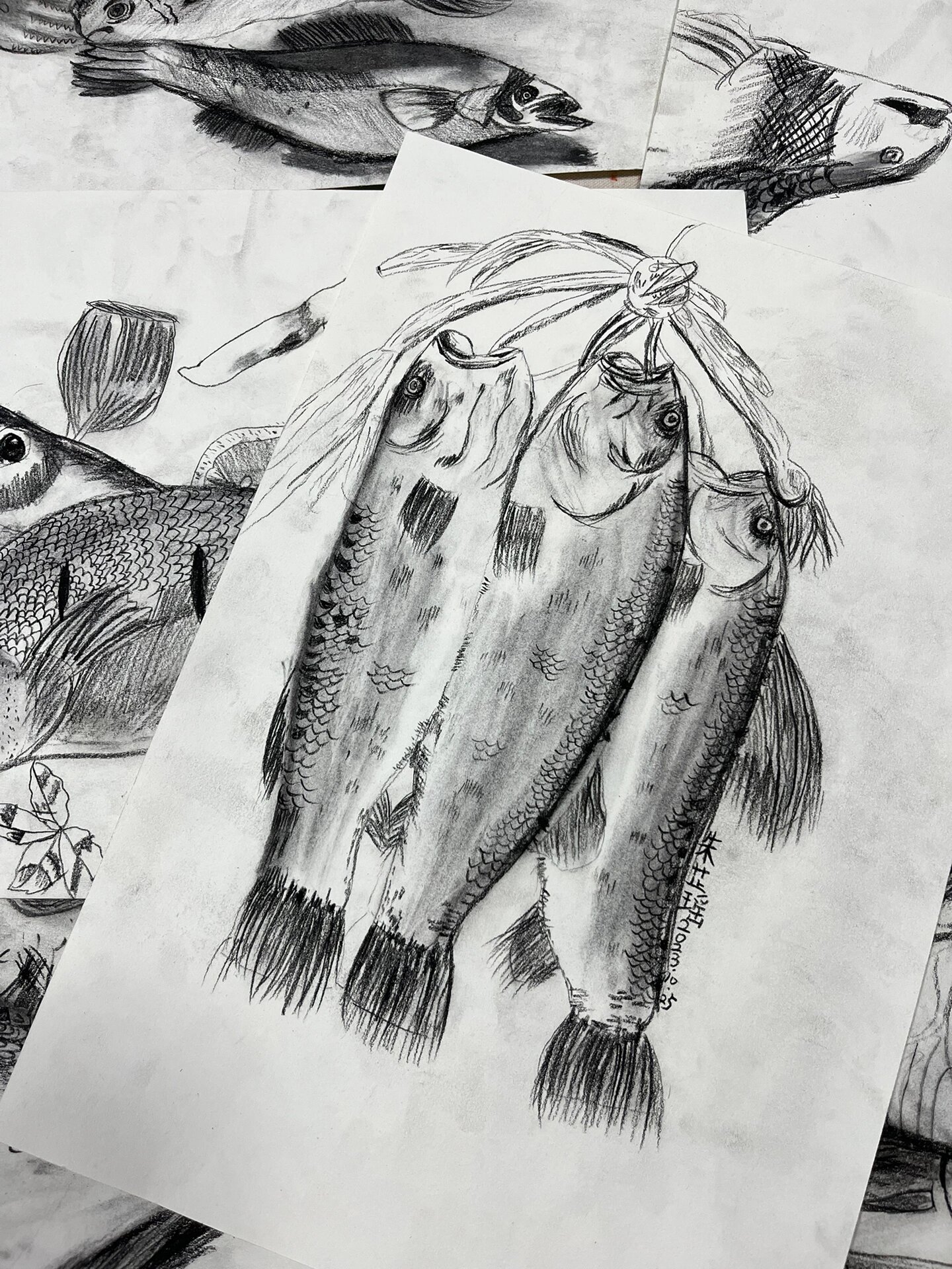 素描《鱼》9—12岁