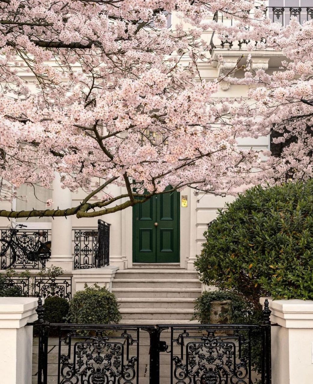 樱花色的别墅!好梦幻的家!