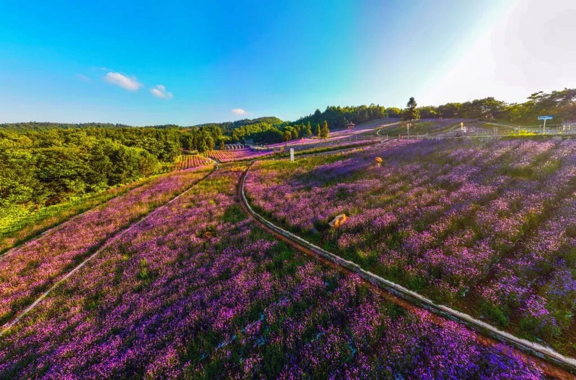 99%的人都不知道的小众避暑胜地——野三关 春季赏花夏避暑 炎热的
