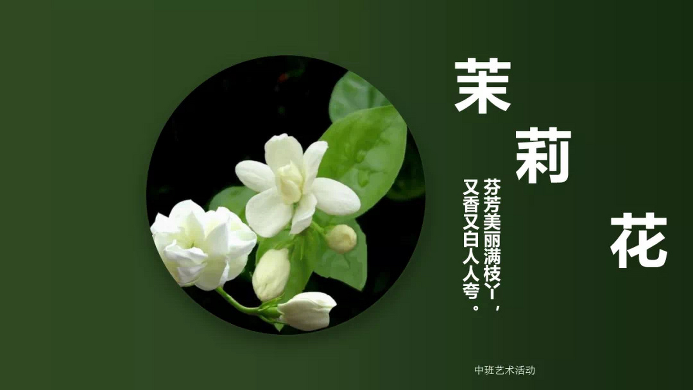 幼儿园中班艺术活动《茉莉花》含教案,ppt课件 一,活动目标:1,进一步