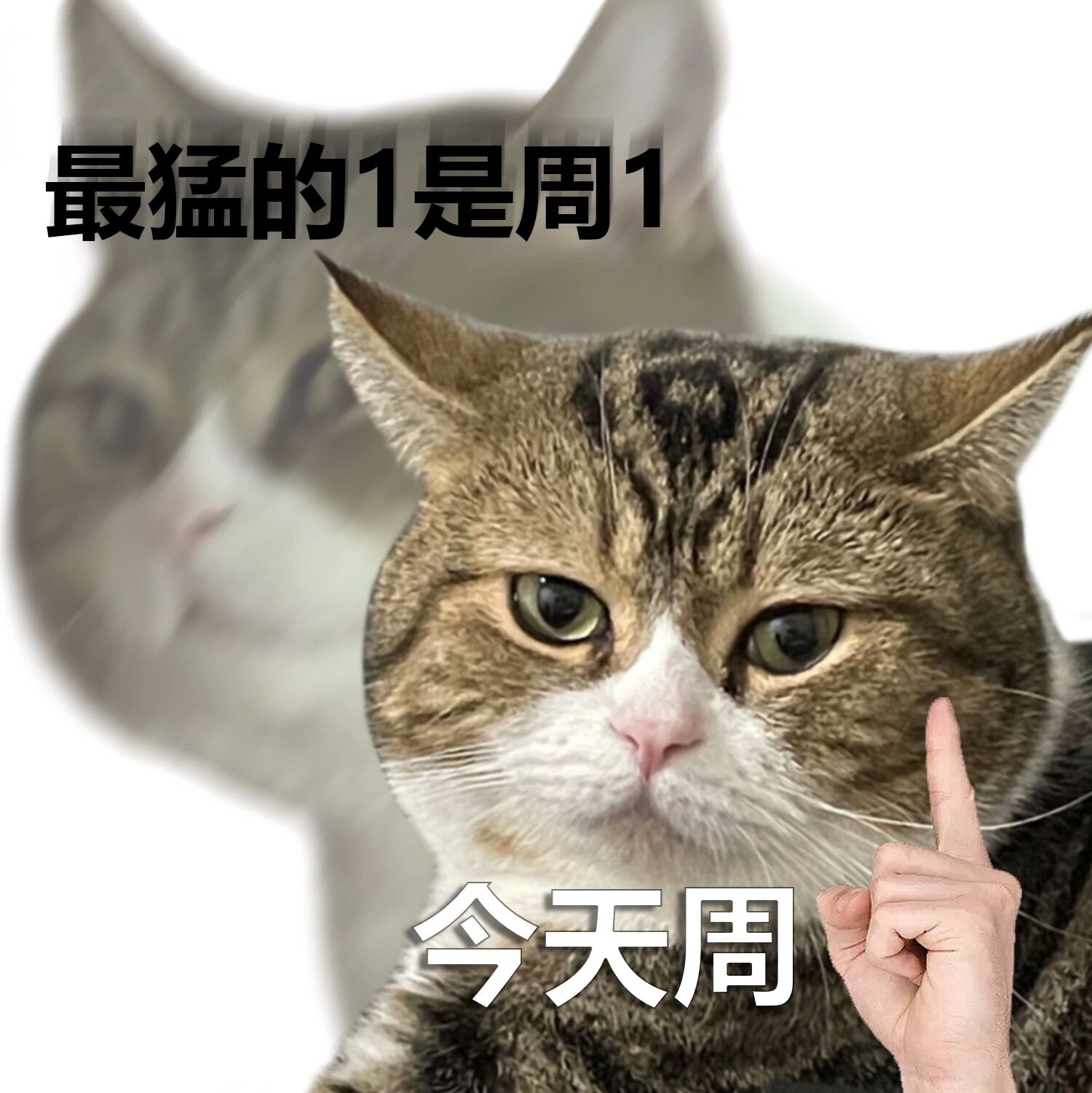 猛1表情包图片