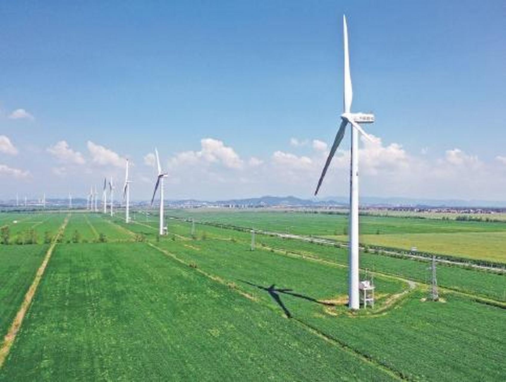 近年来,安徽省安庆市宿松县省属农垦华阳河农场(以下简称"华阳河农场"