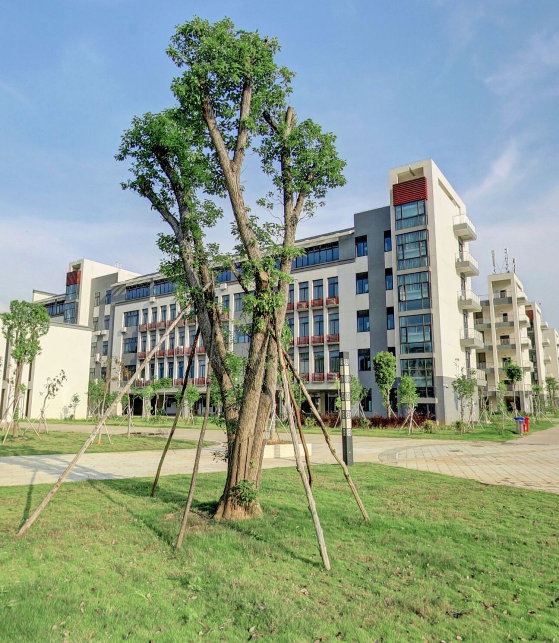广东省轻工业技师学院 广东省轻工业技师学院创建于1974年,广东省人民