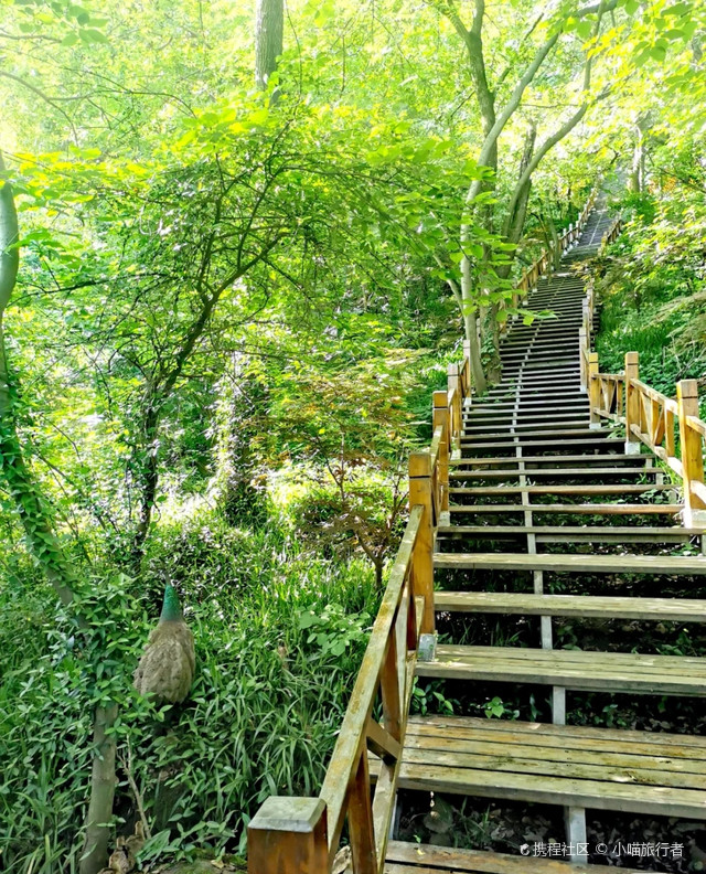 铁山寺国家森林公园