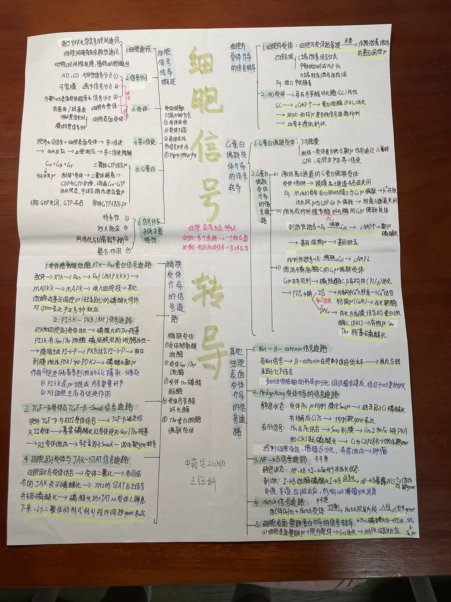 细胞生物学 细胞信号转导思维导图