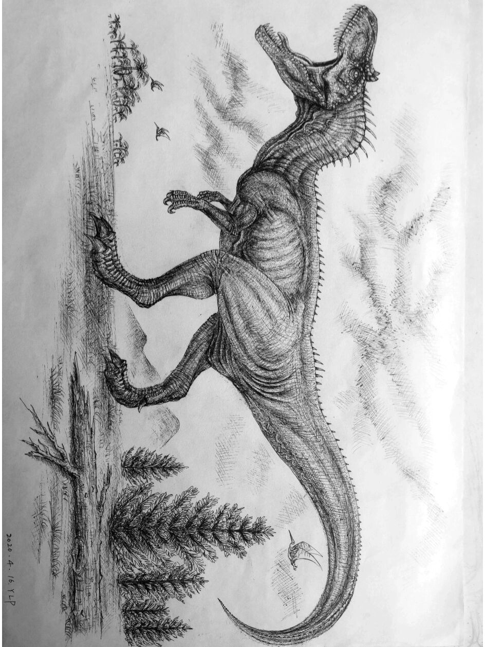 钢笔画—异特龙