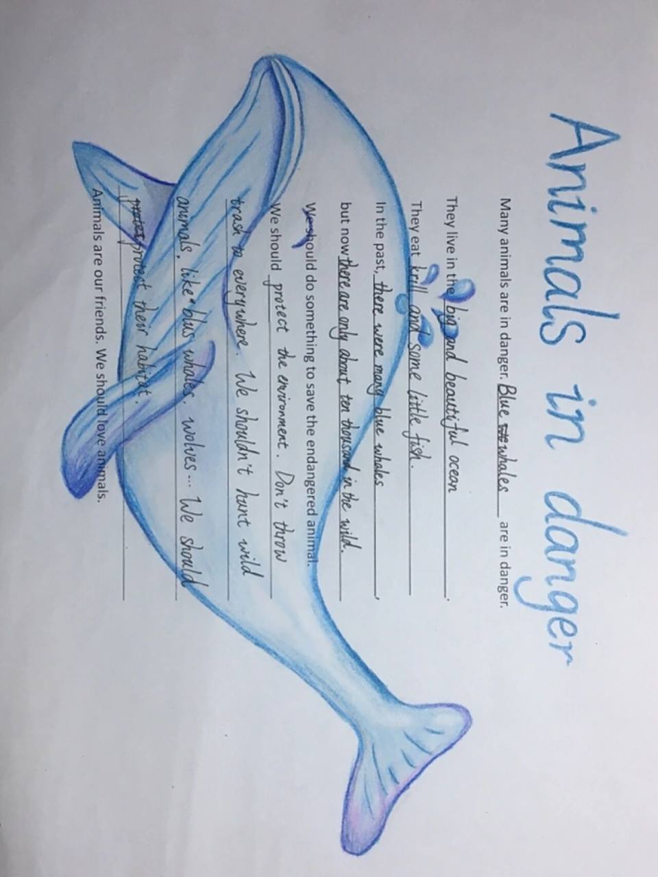 英语手抄报 animals in danger 借此手抄报, 呼吁大家:保护动物,保护