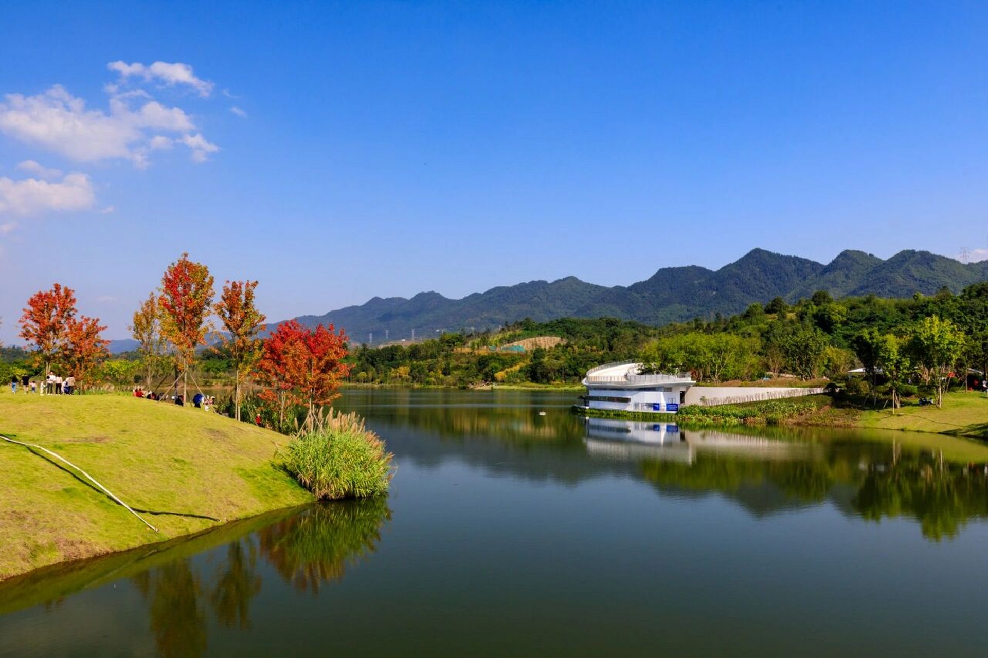重庆渝北明月湖图片