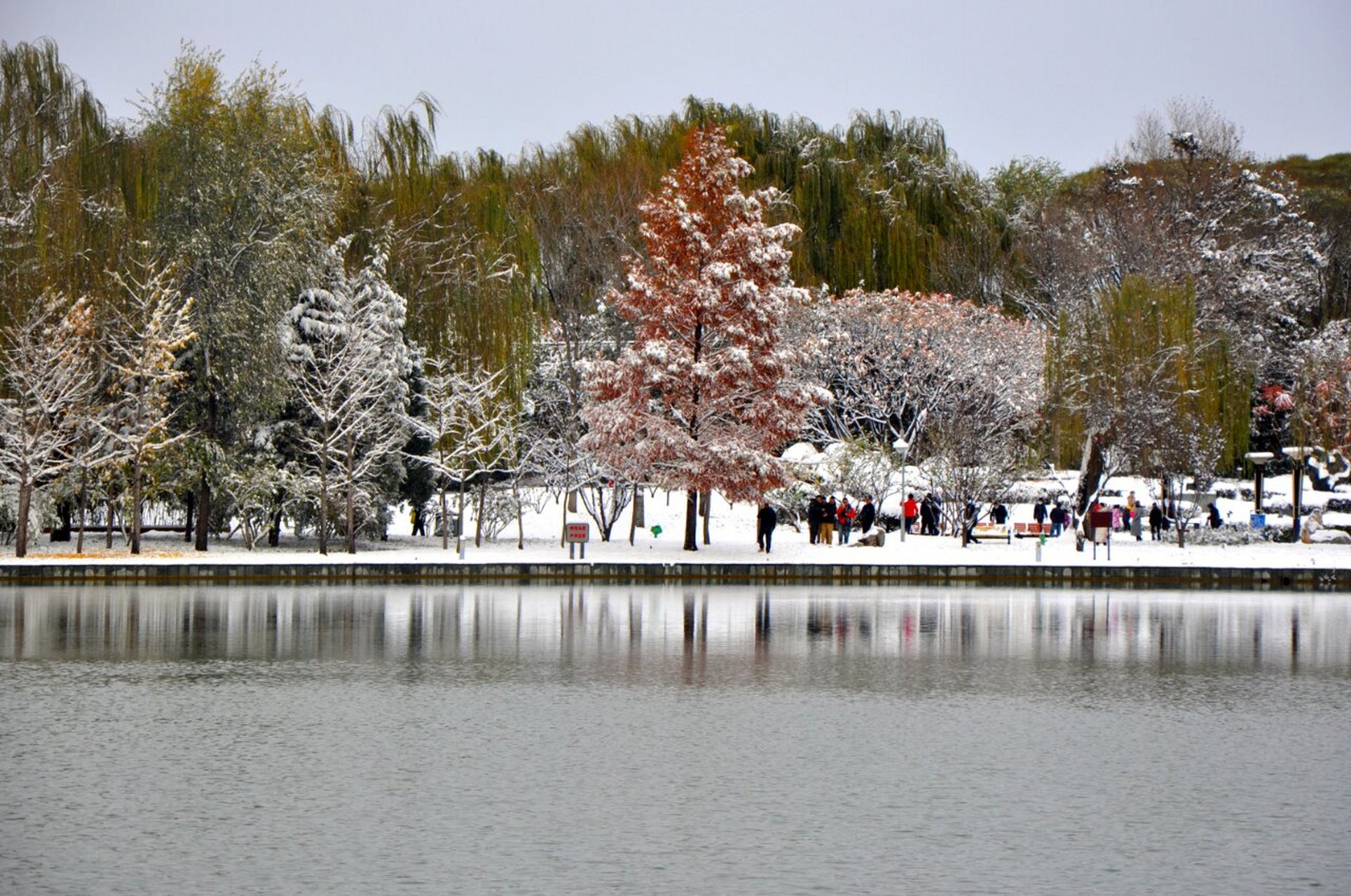 99卧龙公园 75具体位置|顺义区顺白路2号 9