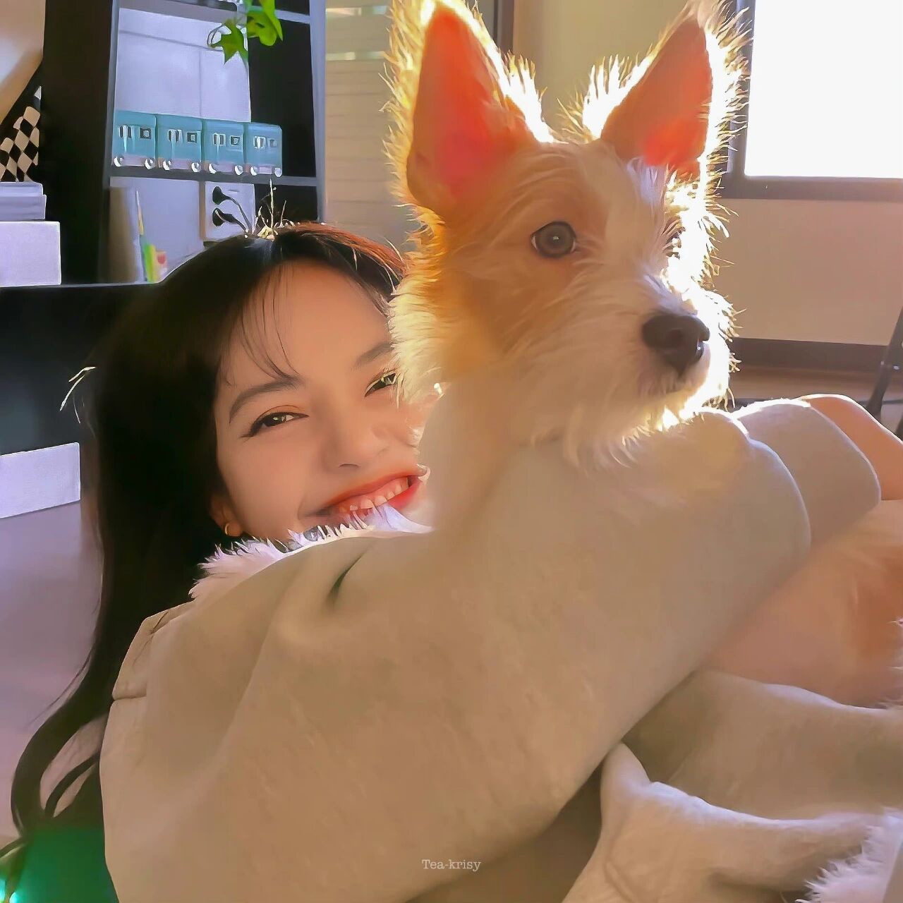 lisa头像合集92 终于把长时间没出但是很想出的bp头像系列继续更新