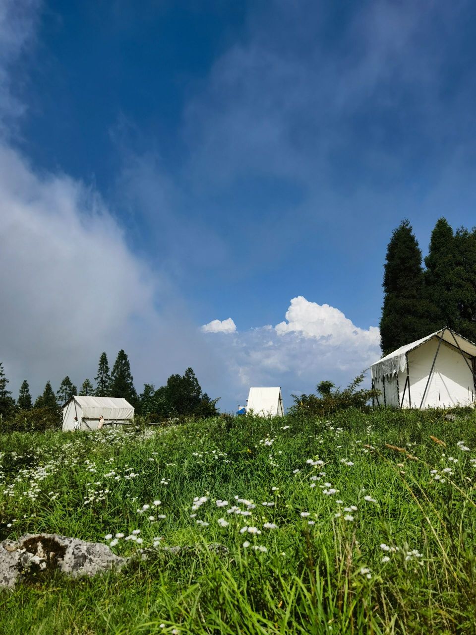 千野草场 露营圣地 黄水千野草场,心中的露营圣地!