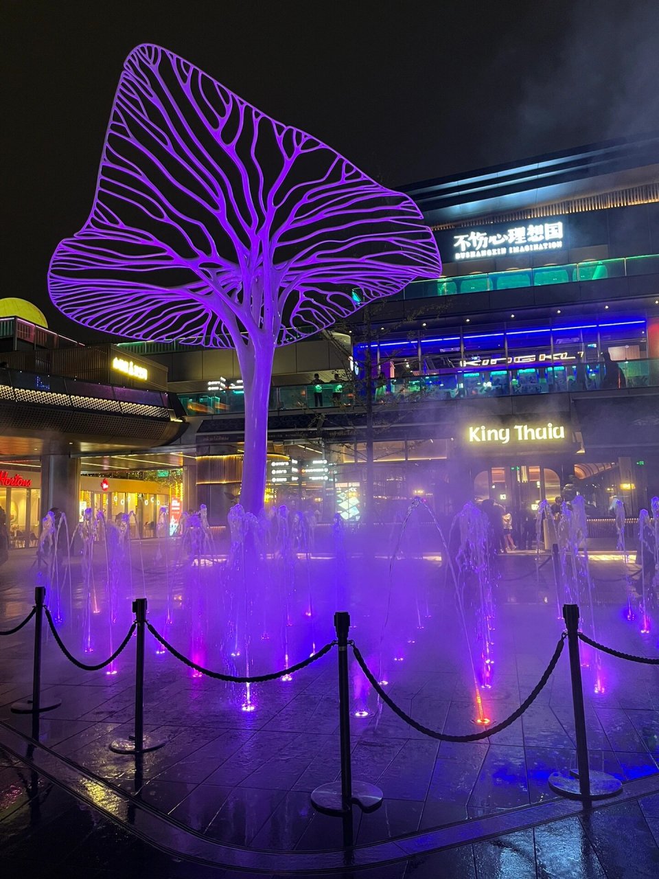 杭州东站夜景 美女图片