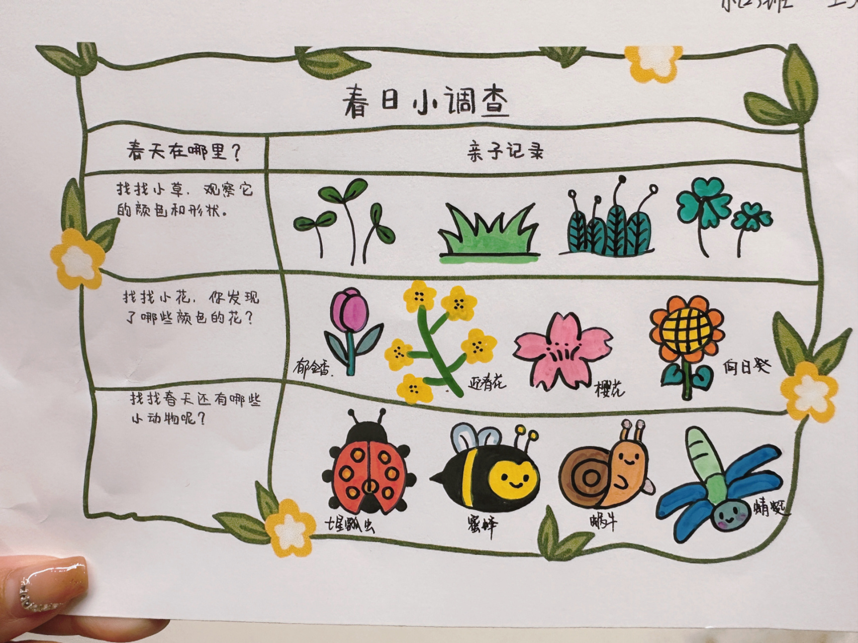 幼儿园-春日小调查 幼儿园-春日小调查