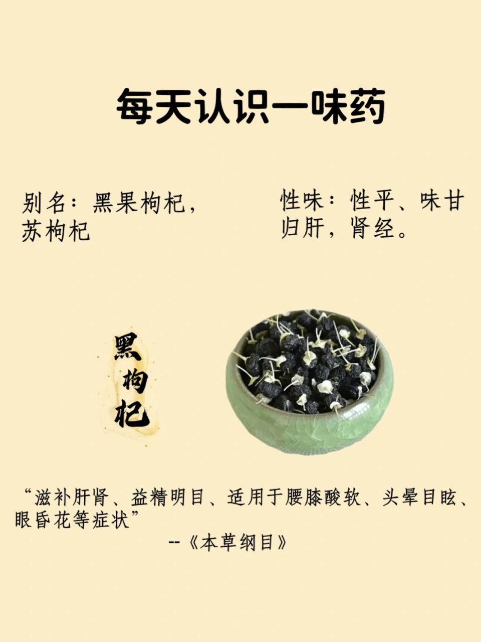 每天认识一味药--黑枸杞 7415功效与作用: 明目,延缓衰老,滋补