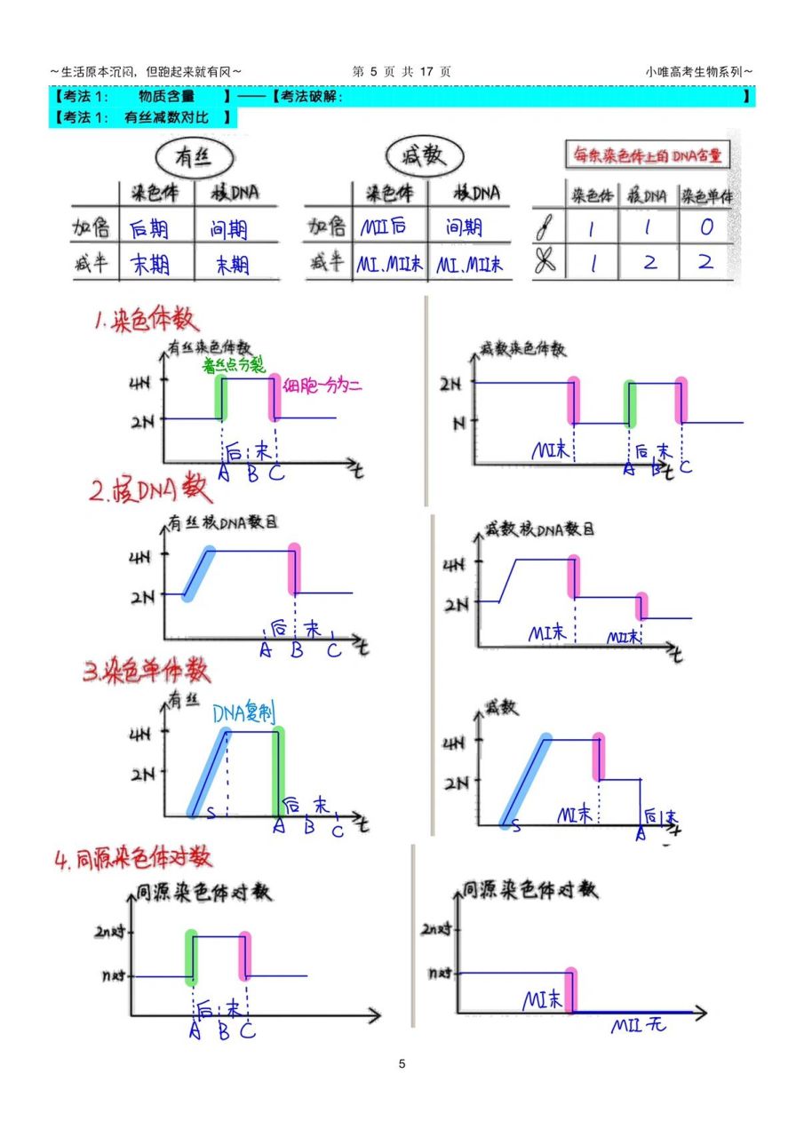 高中生物一轮复习笔记23减数分裂2 图1有丝分裂和减数分裂的物质含量