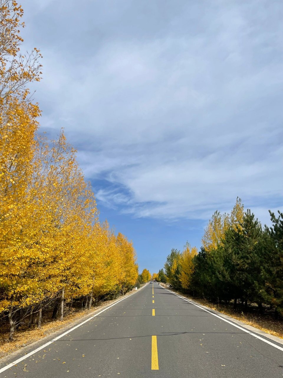 99大同|假期自驾打卡长城一号旅游公路 长城一号旅游公路,全长1201