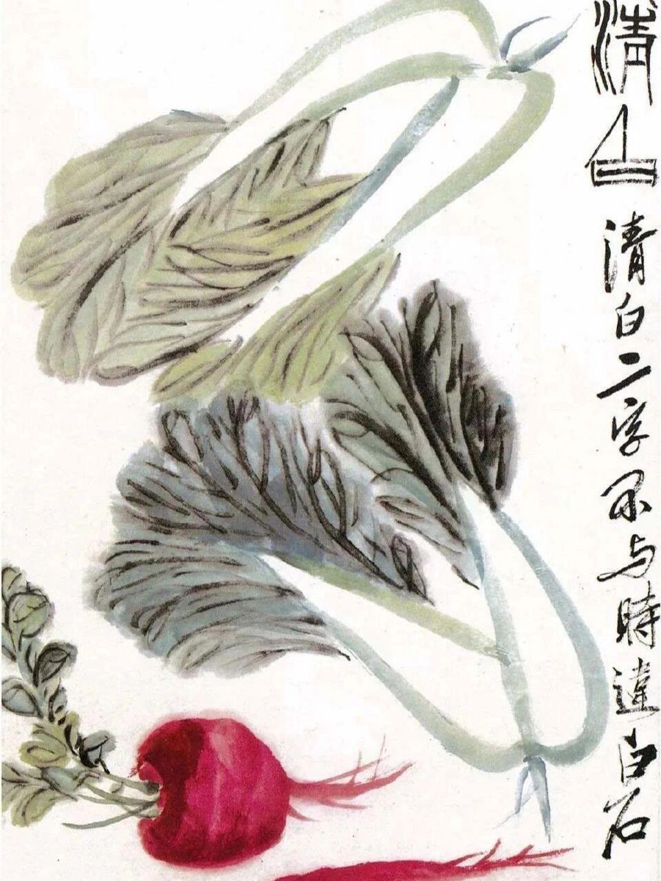 白石老人一生喜画白菜,并且非常愿意向大家告白他的农家身份,他曾在