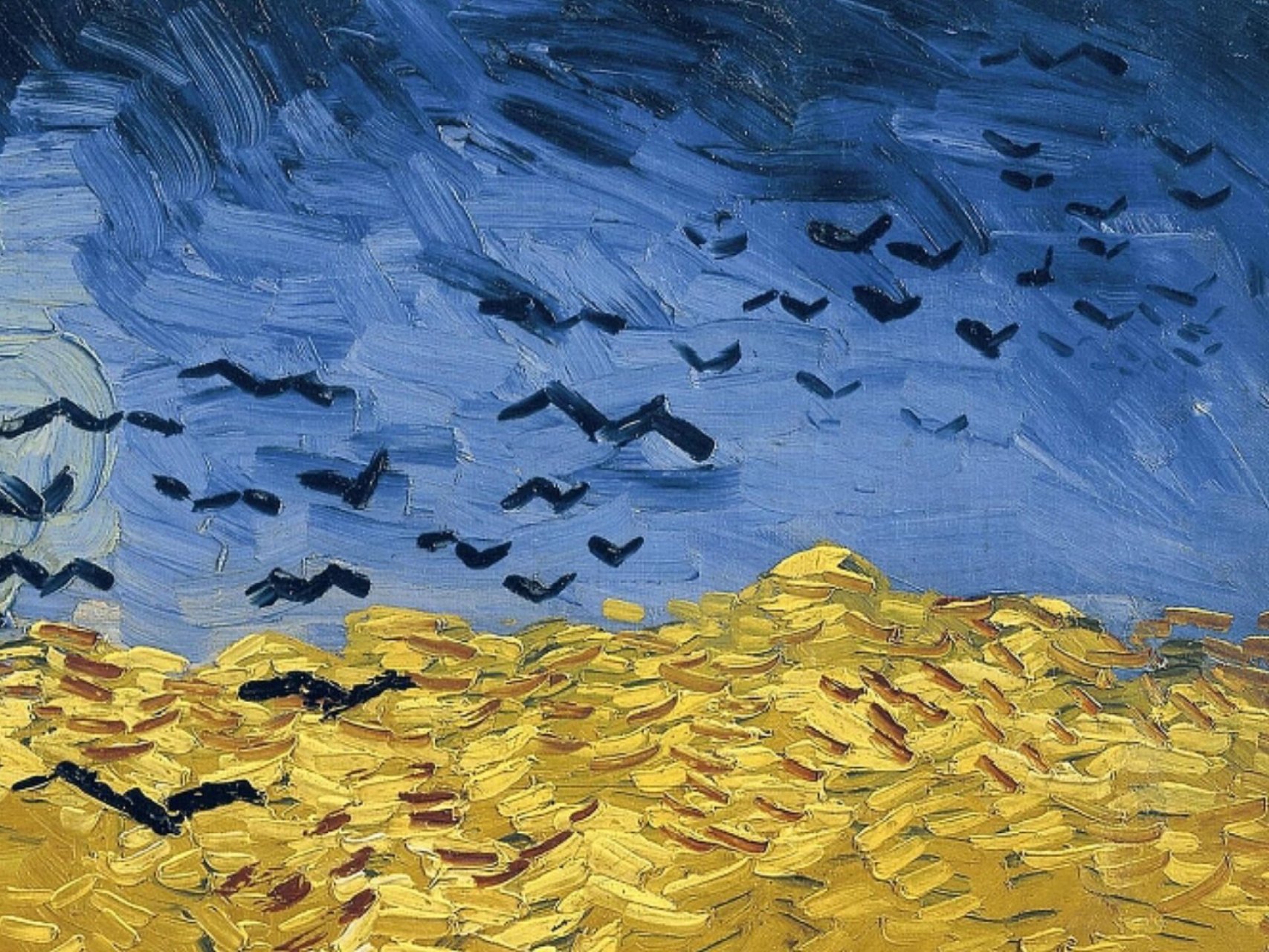 梵高稻田上的乌鸦图片
