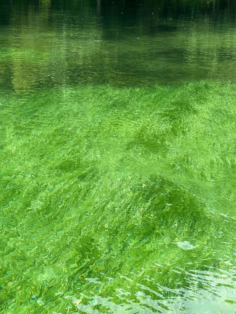 2023/7/11 早安  云中有海浪 海里有天空 盛夏的光 自由来去  #早安