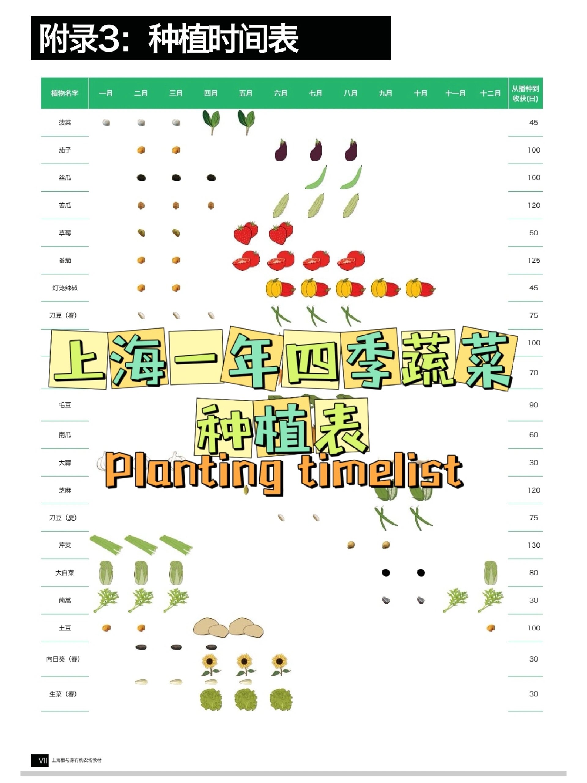 吐血整理77上海一年四季蔬菜种植表91